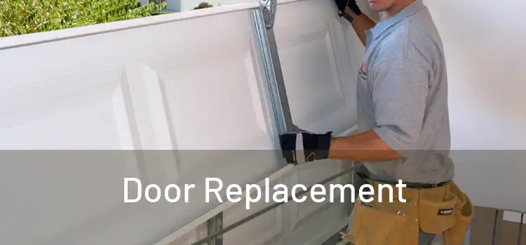  Door Replacement 