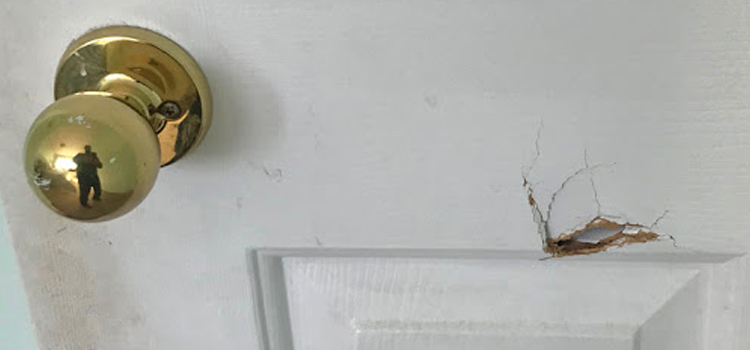 interior door hole repair Alhambra